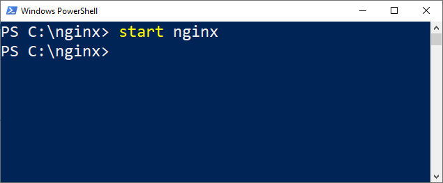 Nginx Starten